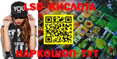 крисы Ливны