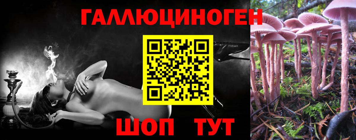 Гусь-Хрустальный  Галлюциногенные грибы Magic Shrooms  Вход с VPN 